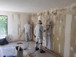 Forensic Mold Investigation in Chevy Chase View, MD